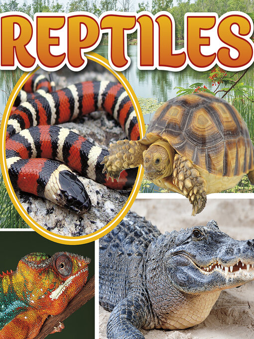 Title details for Reptiles by Janet Riehecky - Available